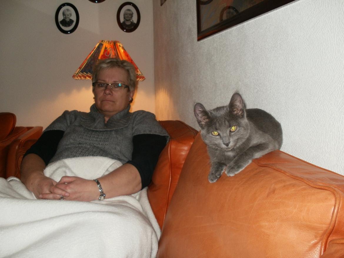 Huskat Vita billede 3