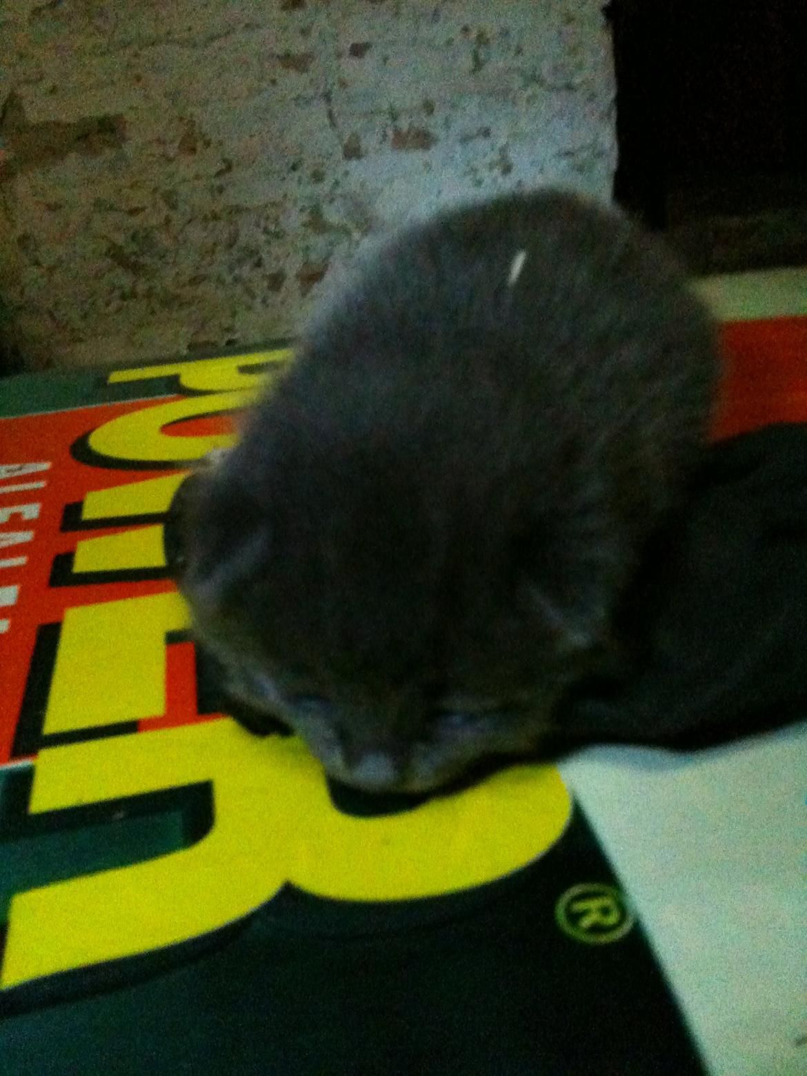 Huskat Vita billede 6