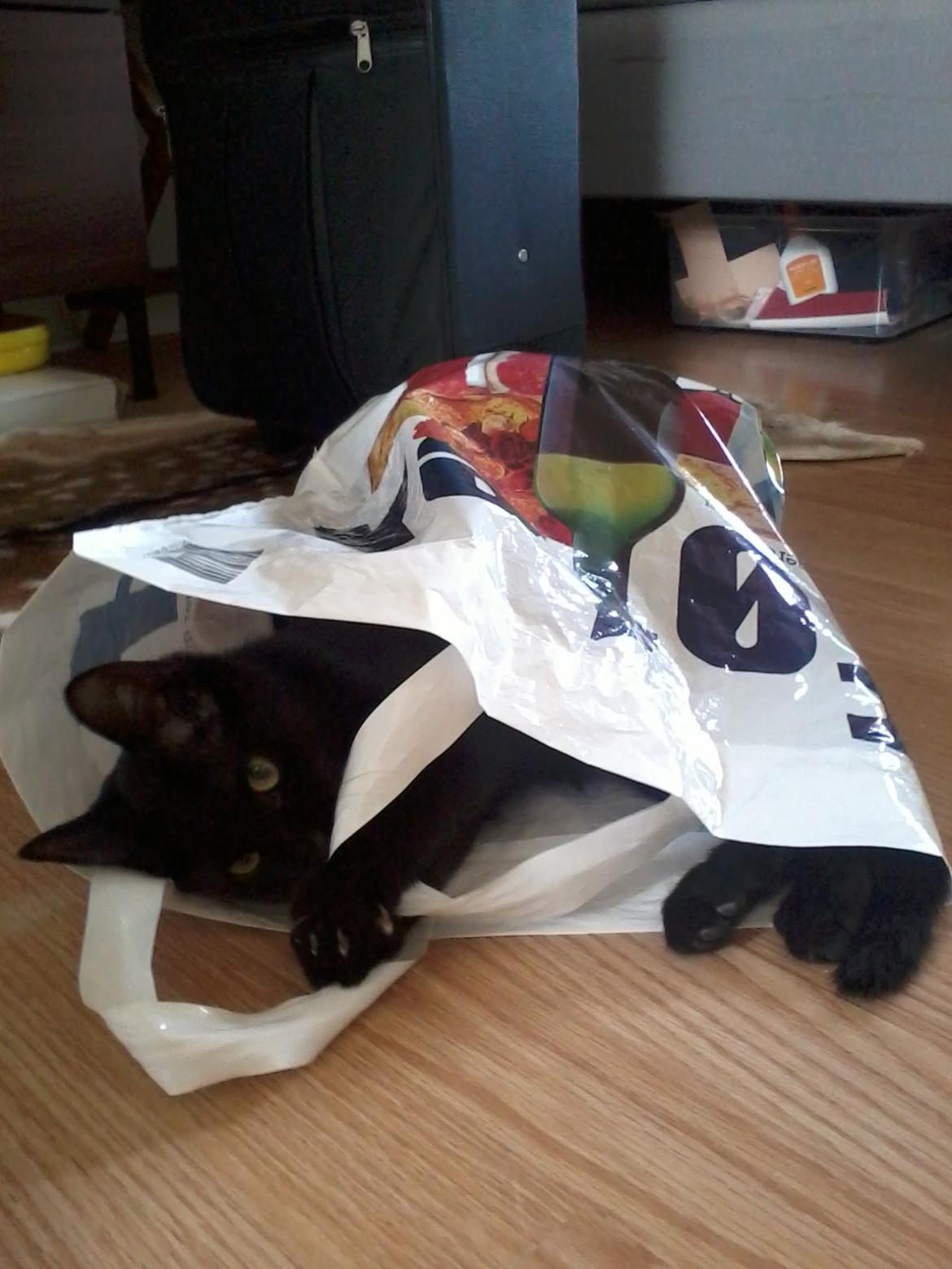 Huskat Lakrids billede 5