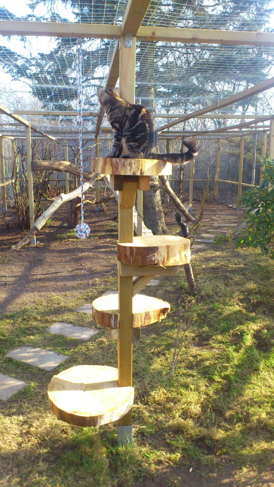 Blanding af racer Kenda billede 7