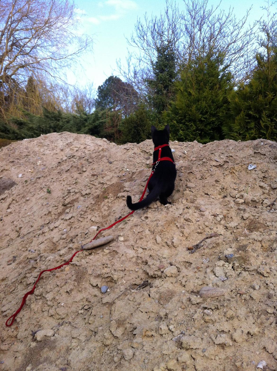 Huskat Mis - putte-putte! <3 billede 7