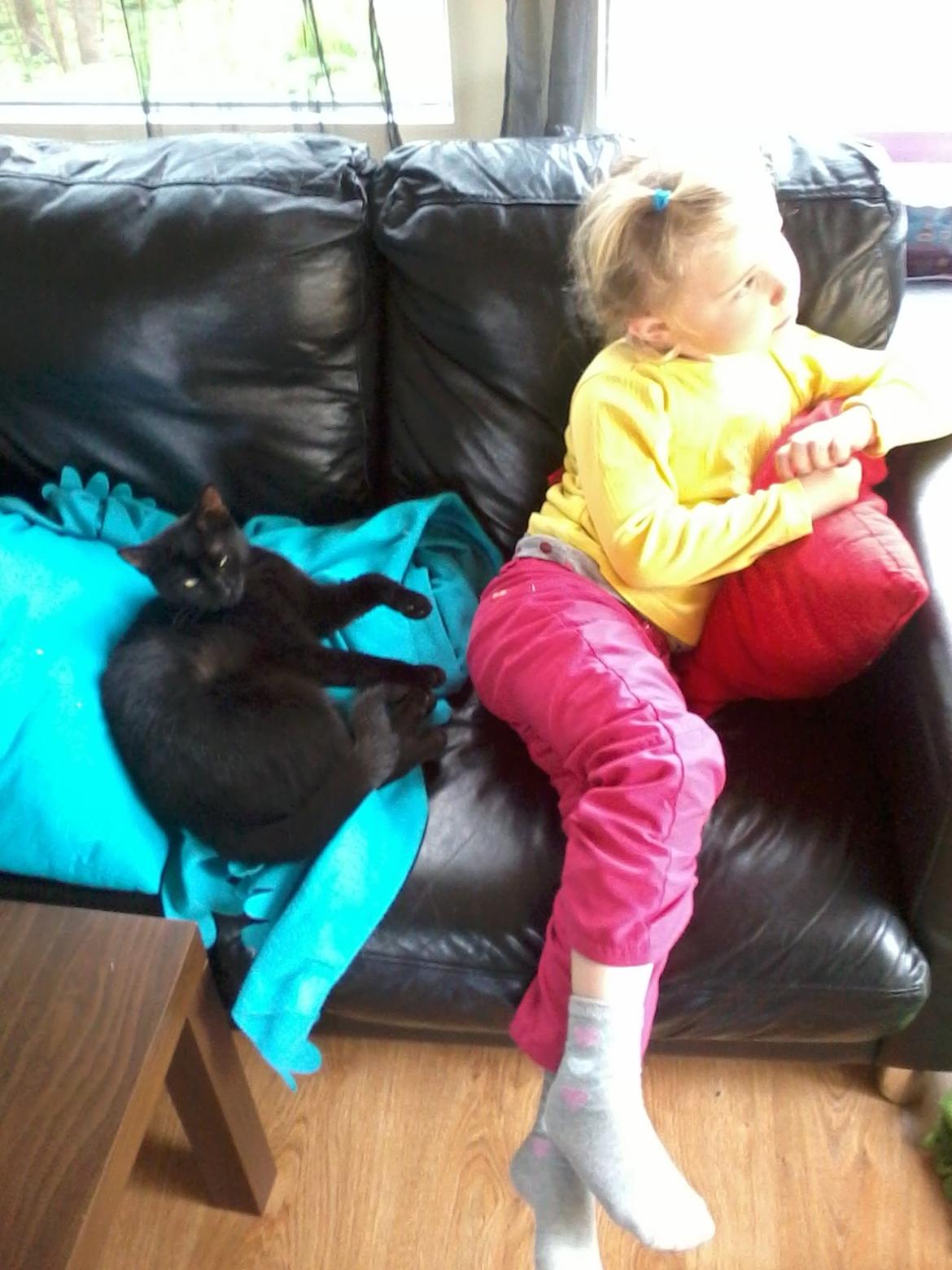 Huskat Lakrids billede 7