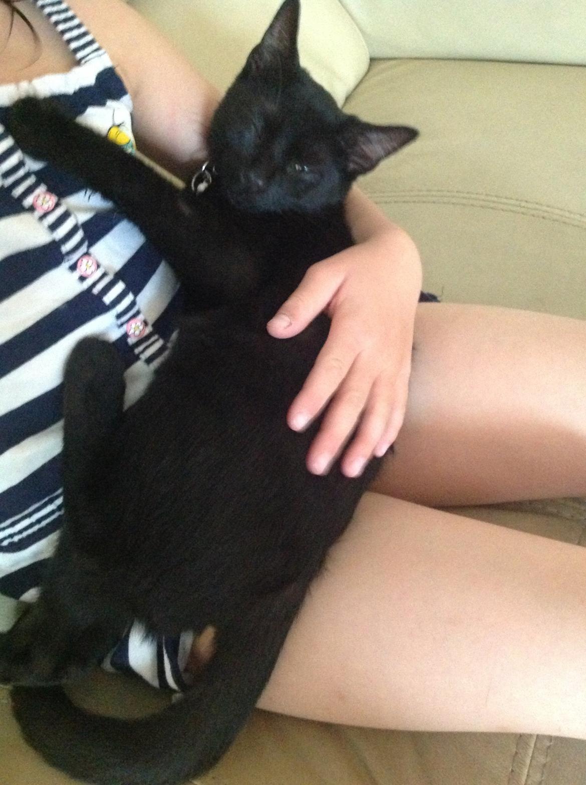 Huskat Mis billede 12