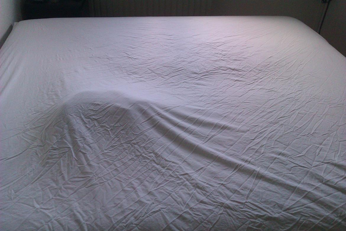 Huskat Elvis - Find Elvis? :-) billede 6