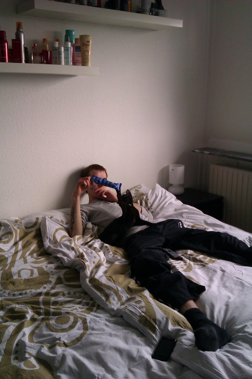 Huskat Elvis billede 7