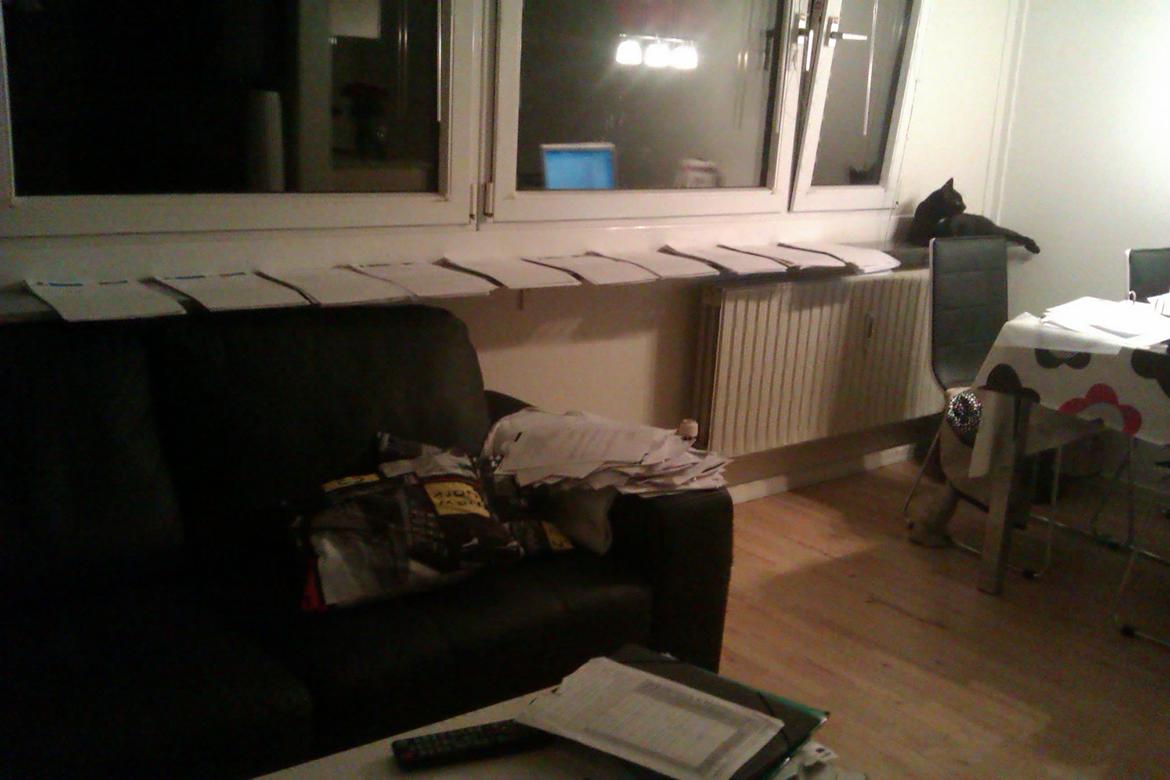 Huskat Elvis - Elvis der hjælper med at forberede til eksamen :-) billede 16