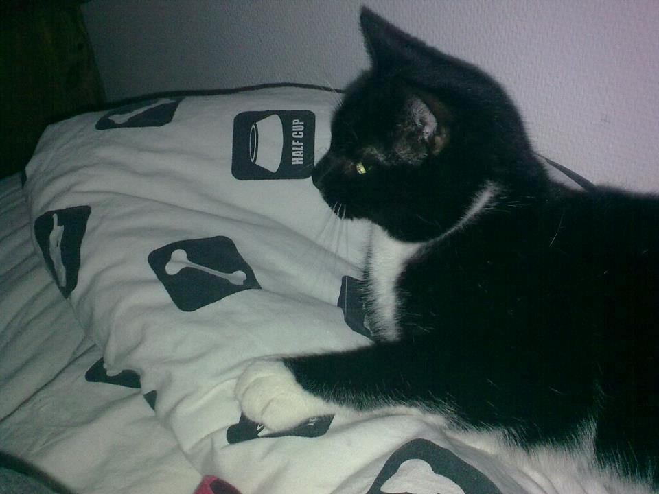 Huskat Pjevs billede 13