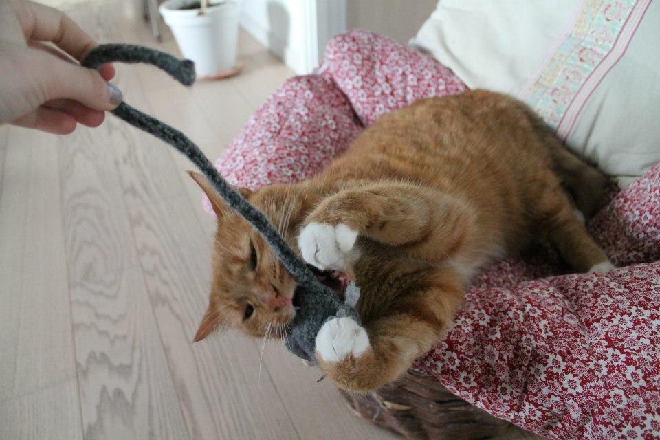 Huskat Mullerbjørn.. {min engel:* - døøø!!! billede 16