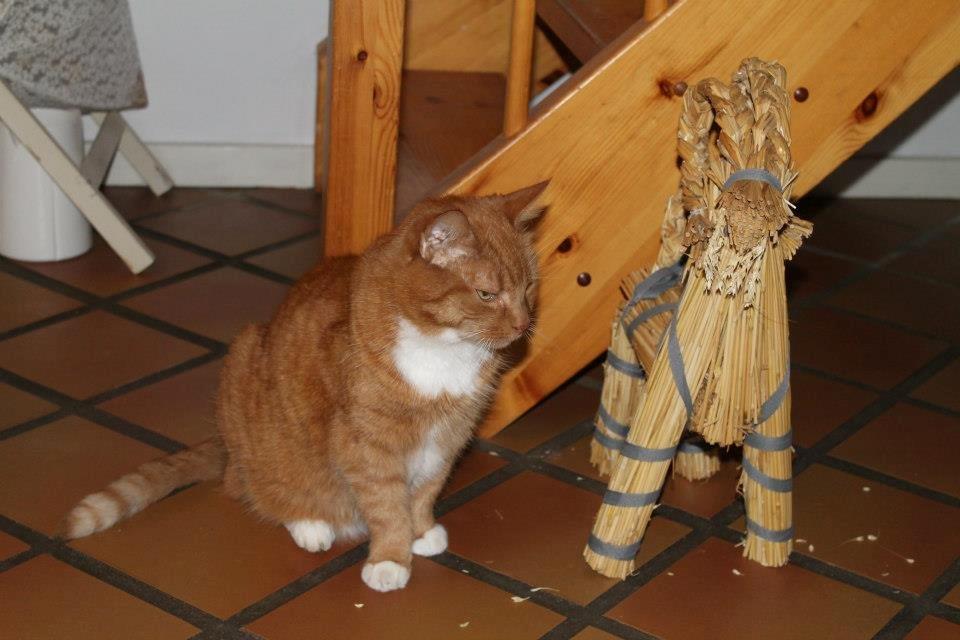 Huskat Mullerbjørn.. {min engel:* - hendes bedset ven! <3 billede 18