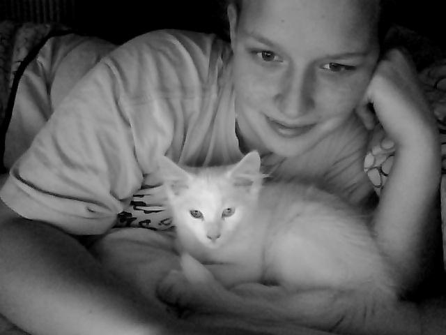 Maine Coon Fnugi - Rest in Peace Fnugi 22/6-2012 :( billede 2