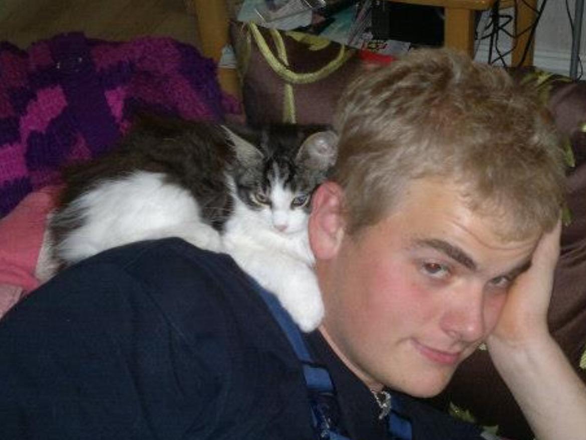 Blanding af racer Linus<3 billede 18