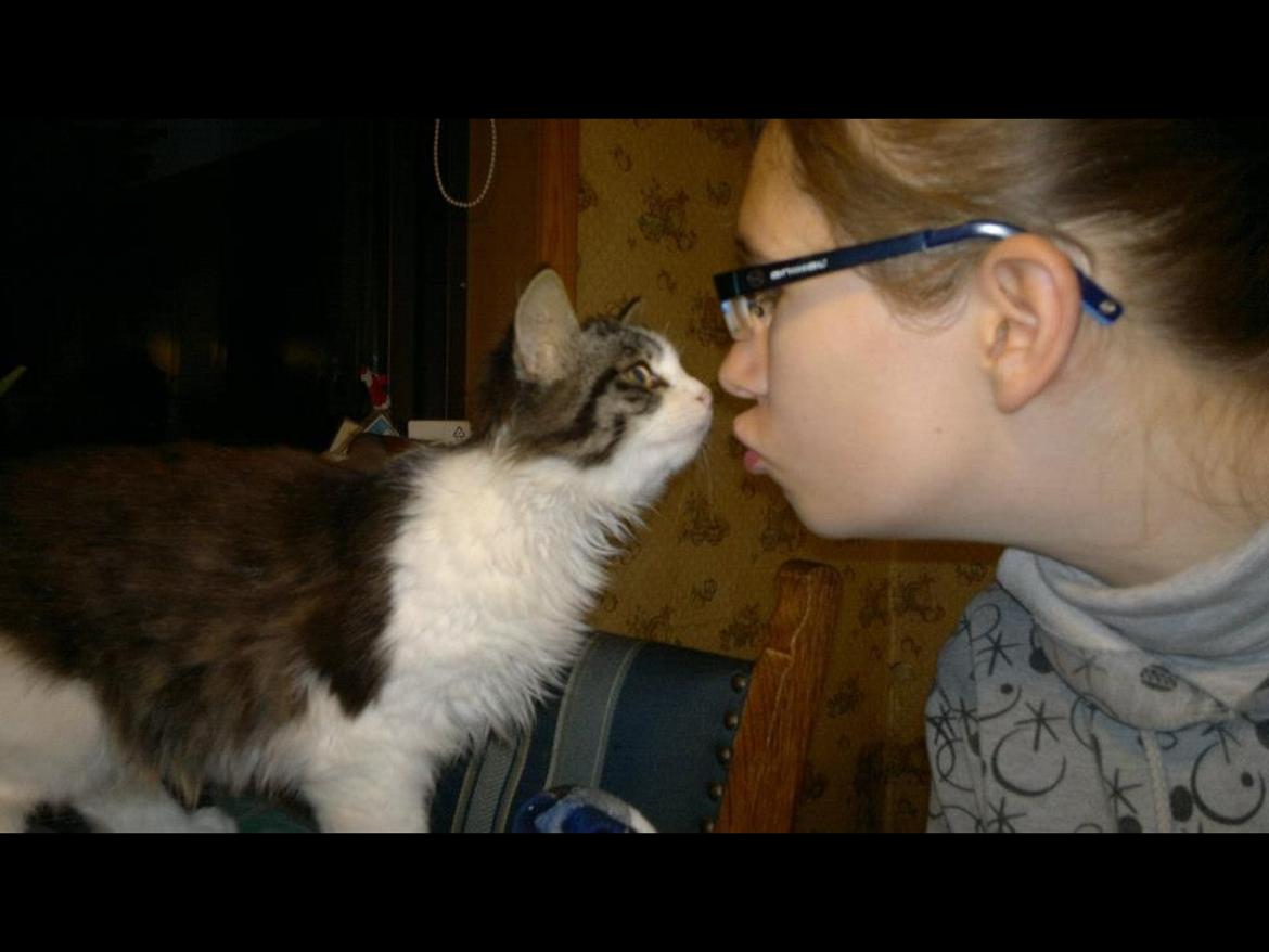 Blanding af racer Linus<3 billede 19