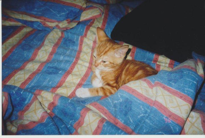 Huskat Freja - Baby Freja: Hvem F..... tændte lyset??? billede 12