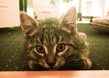 Huskat Yrsa - Her er jeg ikke så gammel billede 11