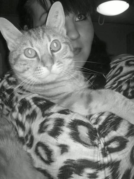 Huskat Teemo billede 8