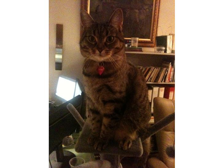 {{currentPhoto.altText}} billede {{currentPhoto.number}}