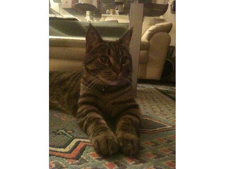 {{currentPhoto.altText}} billede {{currentPhoto.number}}