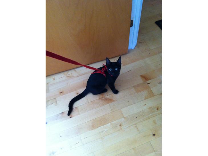 {{currentPhoto.altText}} billede {{currentPhoto.number}}