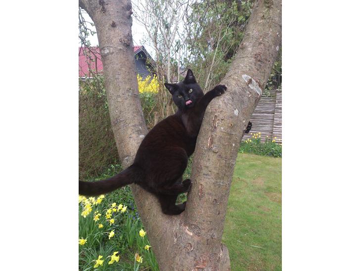 {{currentPhoto.altText}} billede {{currentPhoto.number}}