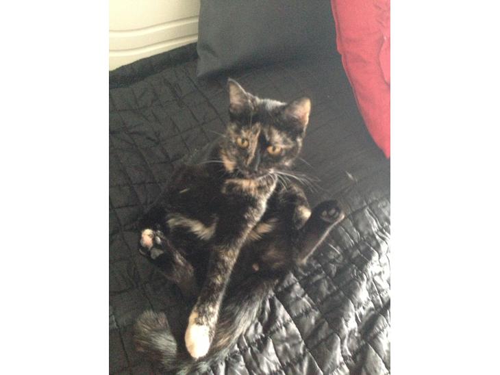 {{currentPhoto.altText}} billede {{currentPhoto.number}}