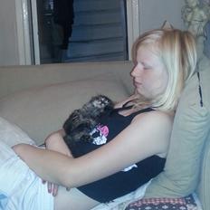 Blanding af racer ¨˜”°º•NALA•º°”˜¨