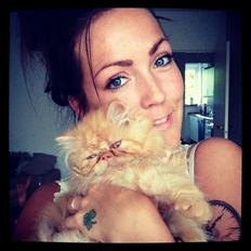 Perser Misty Brown's Lucky Luke aka' Garfield