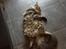 Maine Coon Baby (poly)