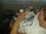 Blanding af racer Fluffy<3 R.I.P - <3