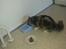 Blanding af racer Fluffy<3 R.I.P - <3