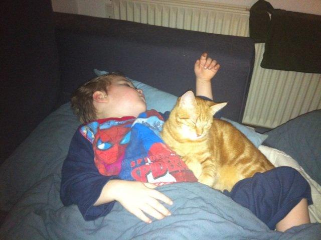 Huskat Misling - Misling og min sovende lillebror (: billede 4