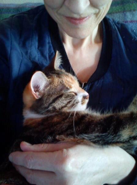 Huskat Speedy billede 10