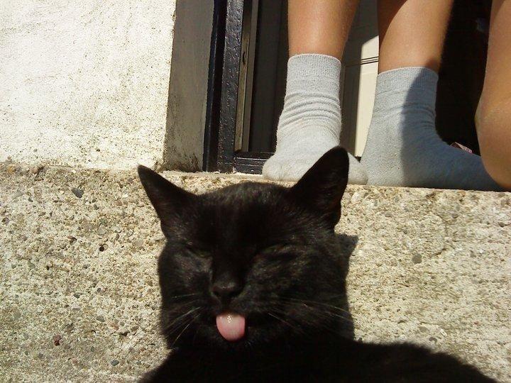 Blanding af racer Børge <3 billede 7