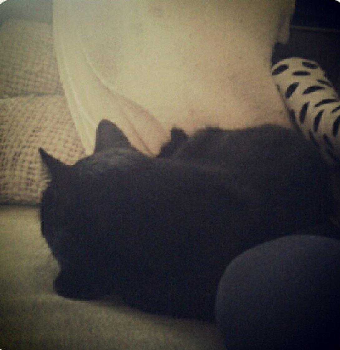 Blanding af racer Børge <3 billede 9