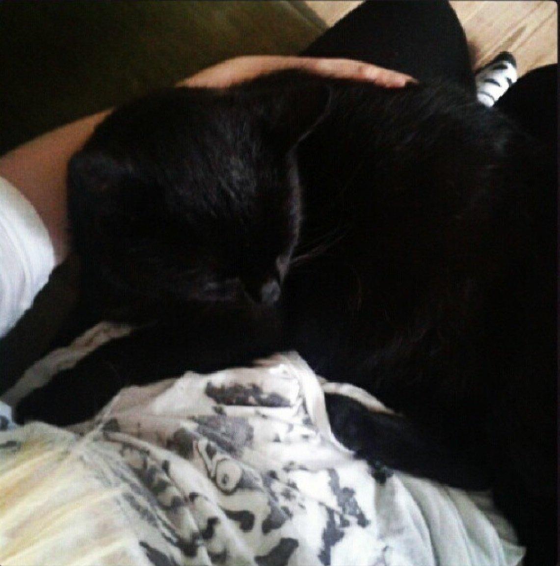 Blanding af racer Børge <3 billede 11