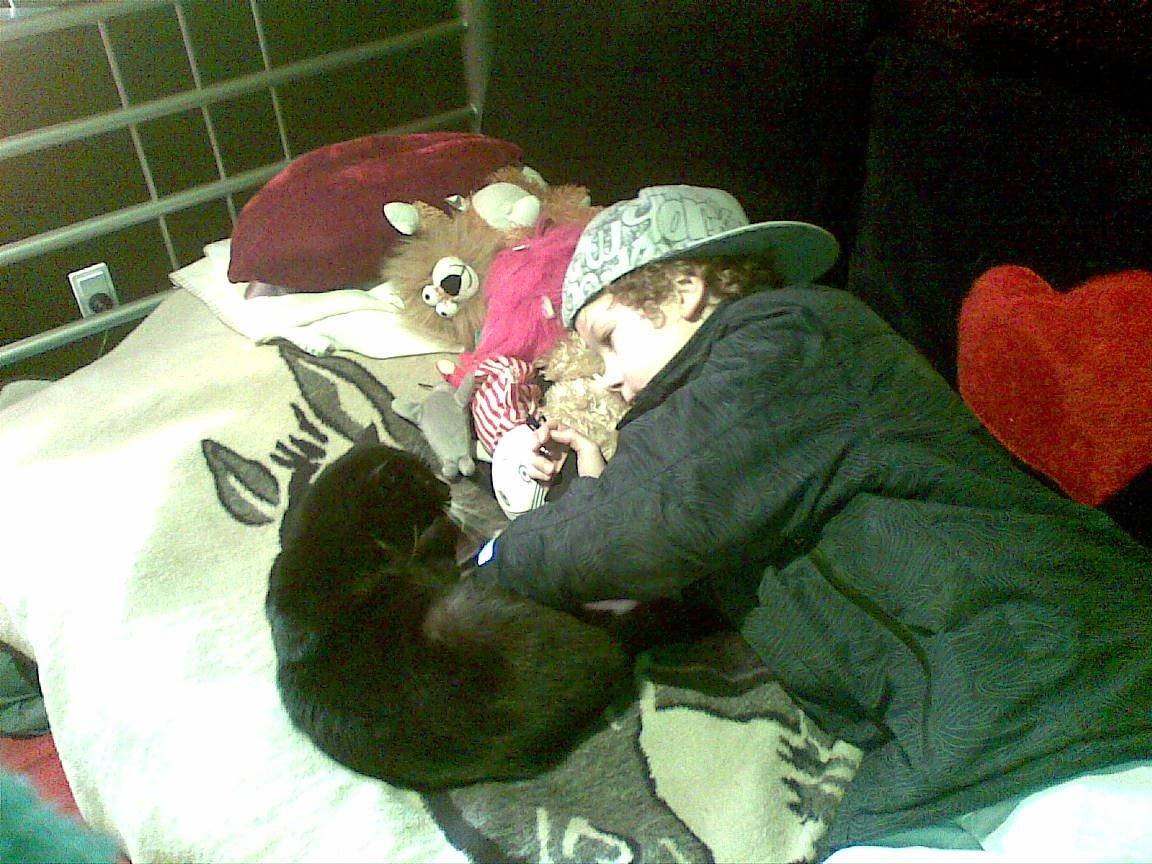 Huskat Lucky *Mit et og alt* R.I.P billede 7