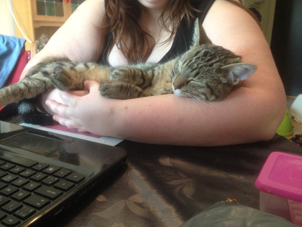 Huskat Nala <3 billede 17