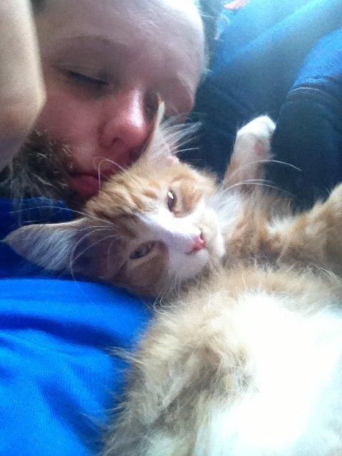 Maine Coon Basse billede 6