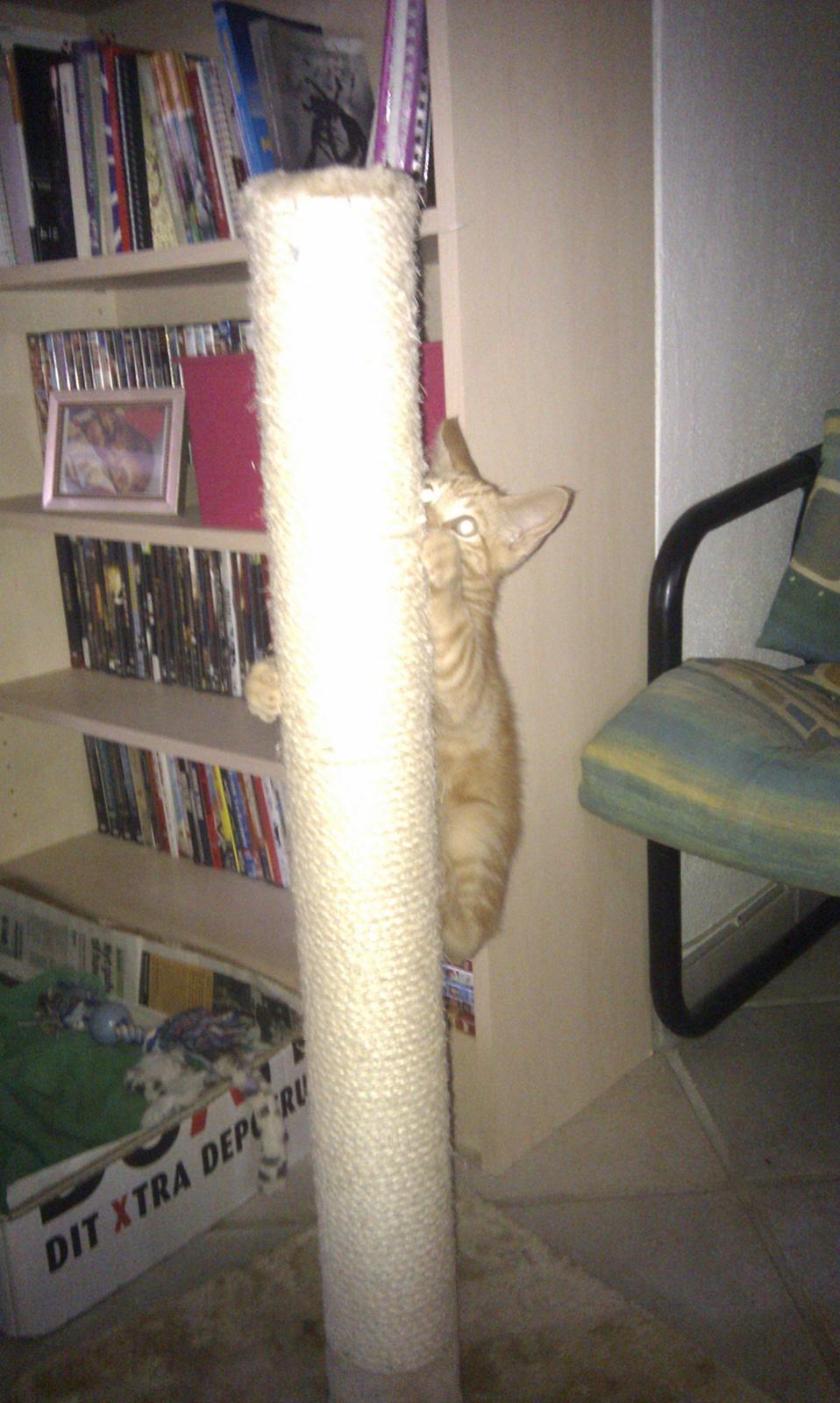 Huskat Johnny Depp billede 11