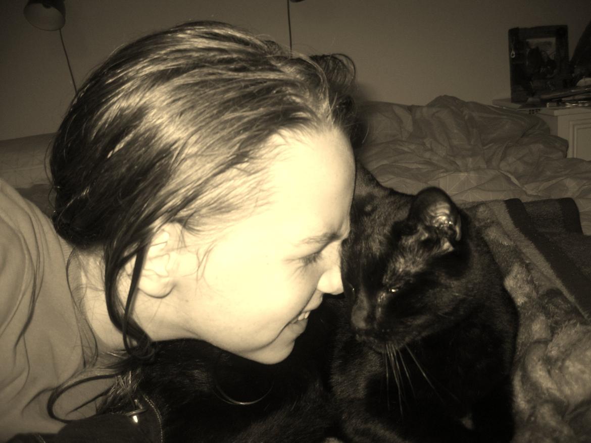 Huskat Jiggi billede 19