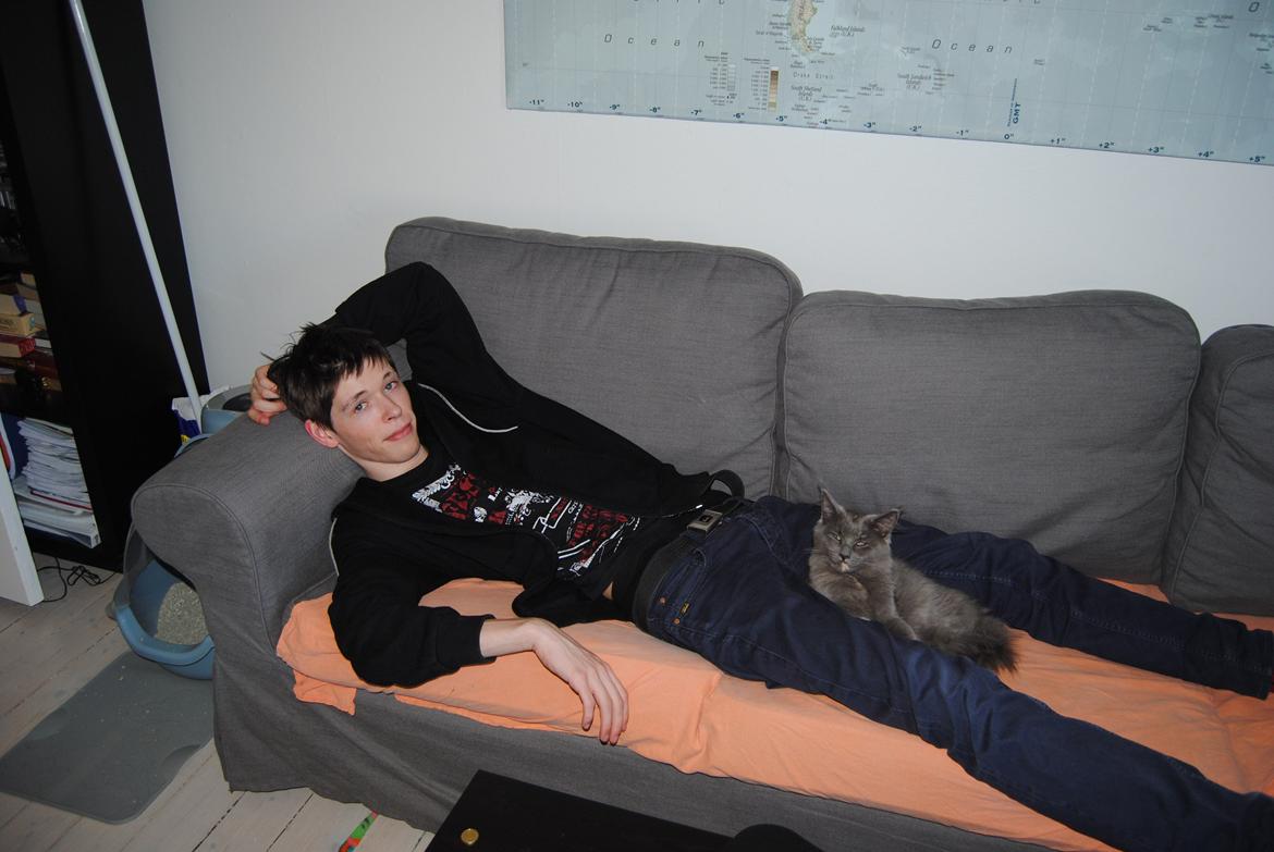 Blanding af racer Lunie billede 5