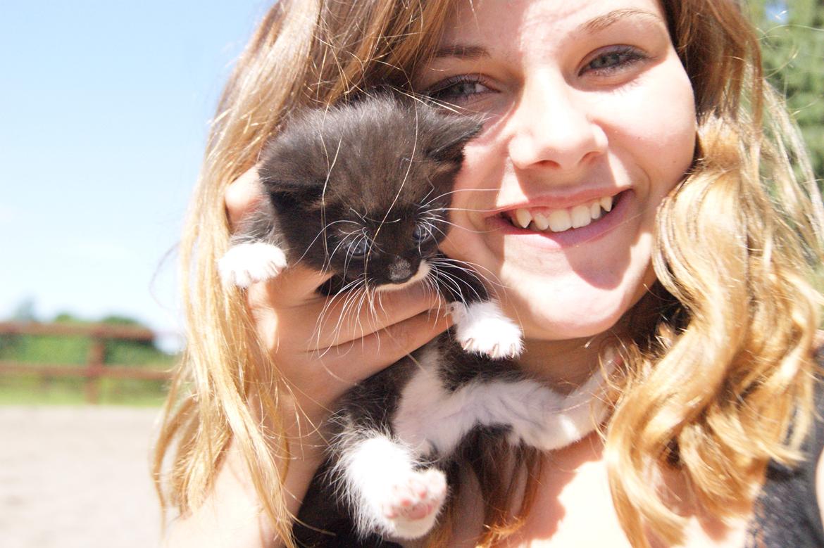 Huskat Hambusses Felix billede 4