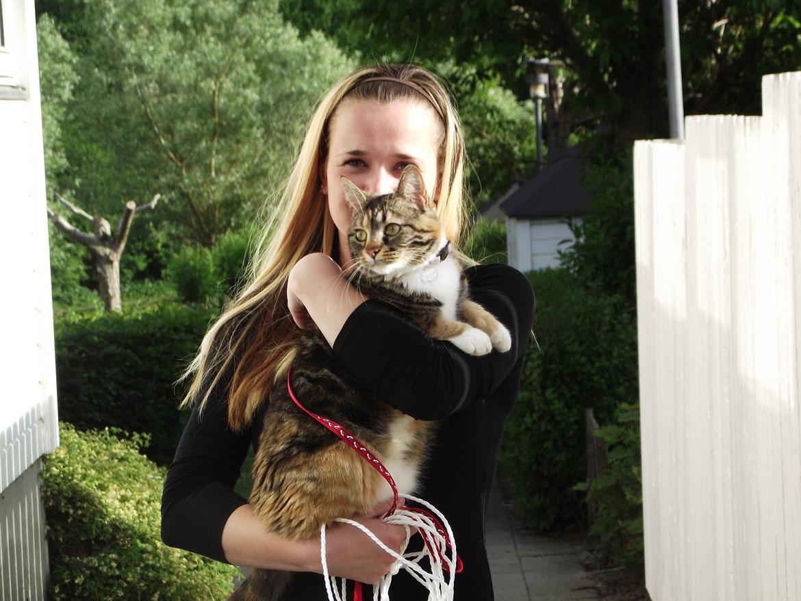 Huskat Fie aflivet :( billede 20