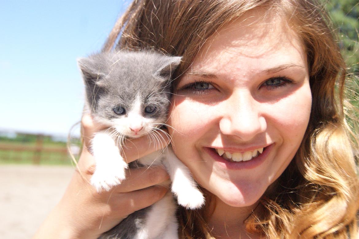 Huskat Misse muzen liller mand (sælges) billede 4