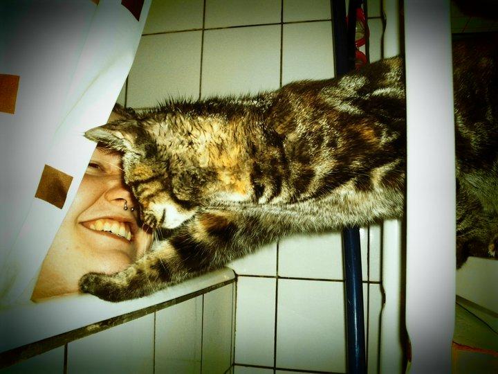 Blanding af racer Tulle - Så nysgerrig :-) Med mor i badekar. billede 12