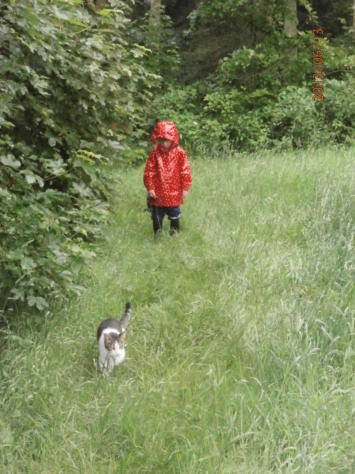 Huskat Frida billede 8