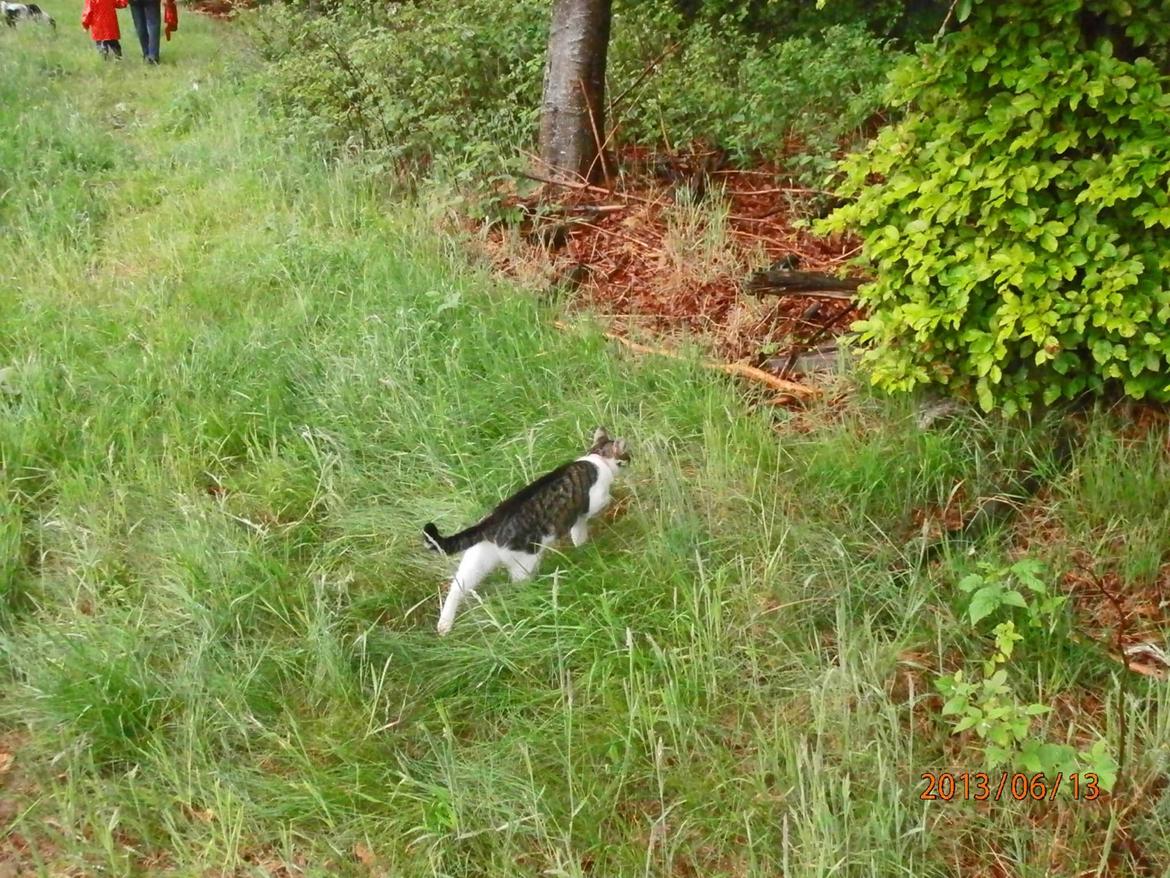 Huskat Frida billede 12