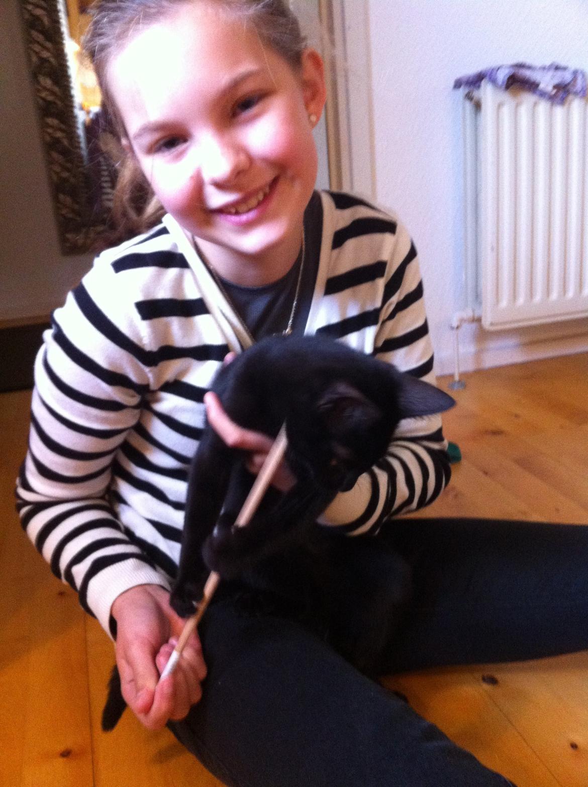 Huskat Mis billede 17