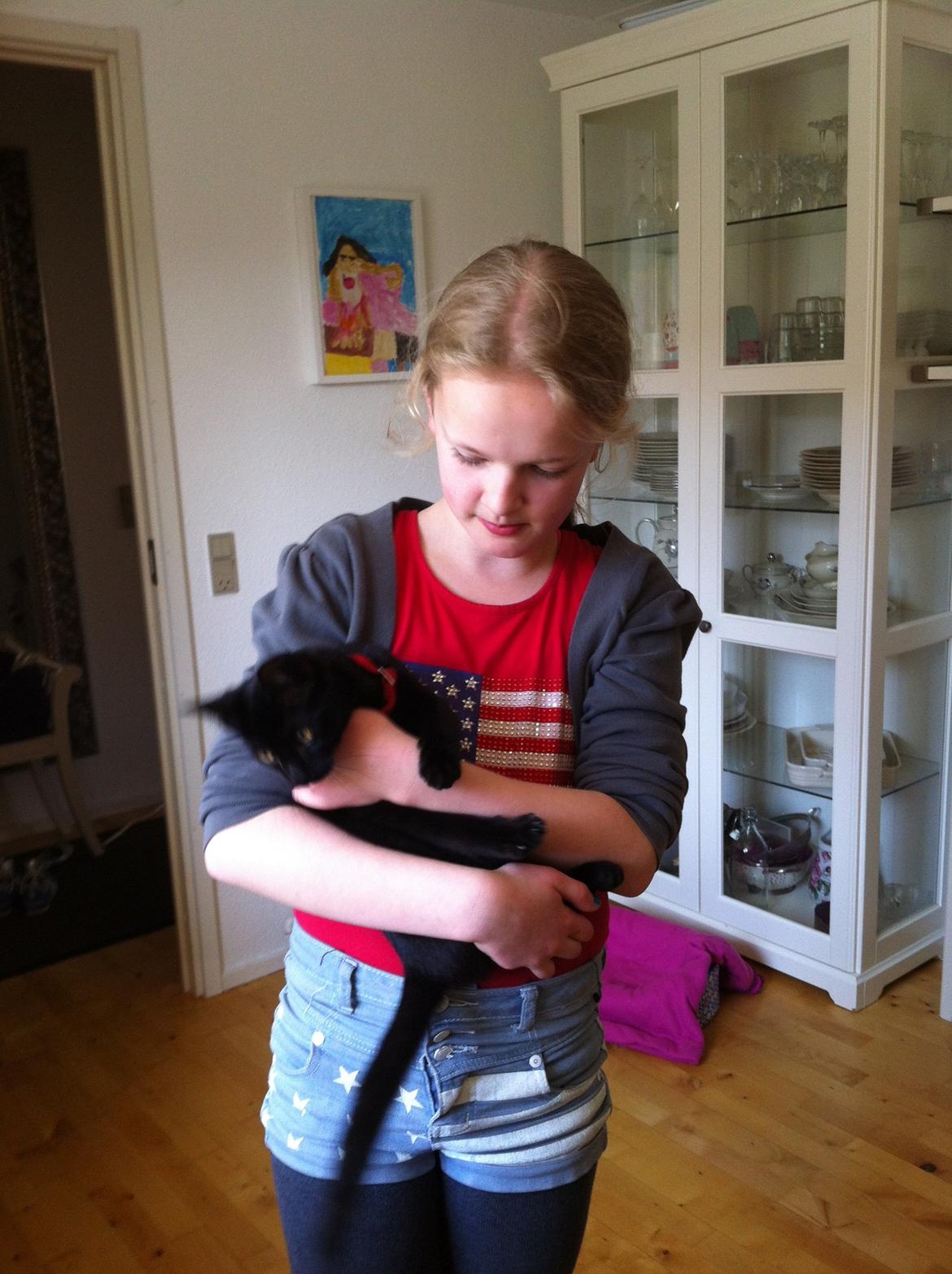 Huskat Mis billede 19