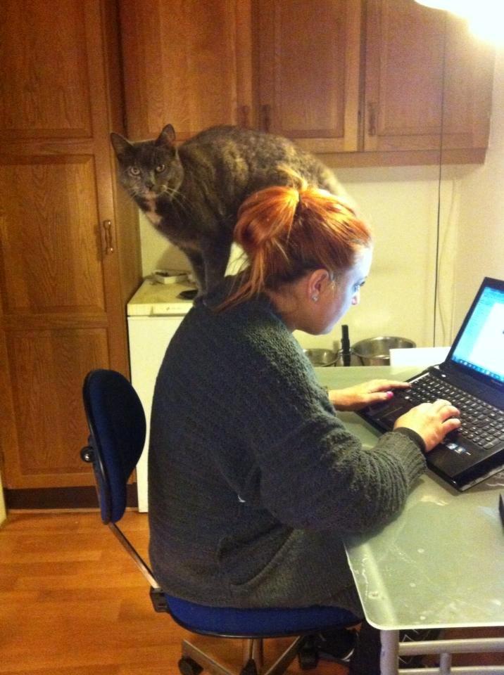 Huskat Lille Mis billede 3