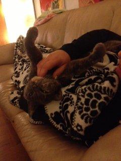 Huskat Lille Mis billede 4